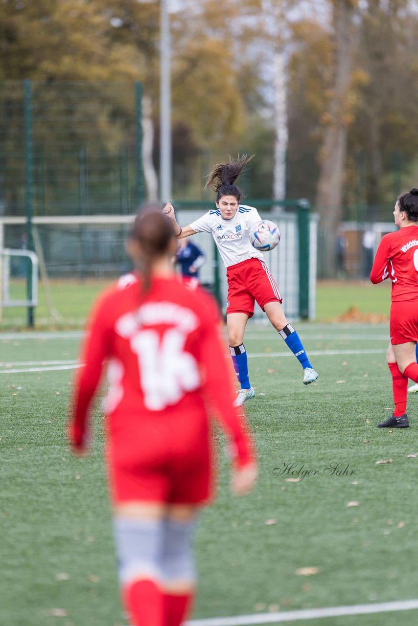 Bild 184 - F Hamburger SV 3 - Walddoerfer SV 2 : Ergebnis: 5:2